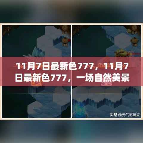 11月7日最新色777,自然美景之旅的心灵觉醒与幽默之旅