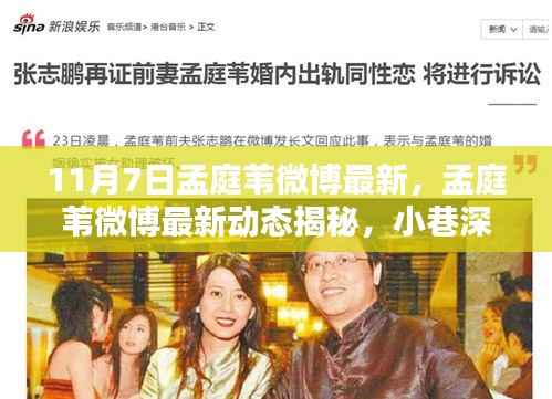 孟庭苇最新微博揭秘,小巷深处的独特风味小店之旅