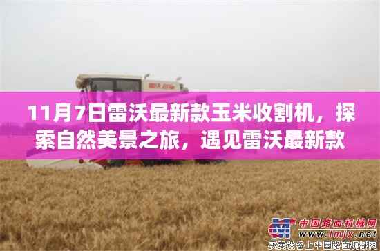 雷沃最新款玉米收割机,自然探索之旅与内心宁静的交汇点