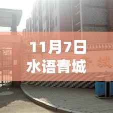 水语青城新篇章开启,变化中的学习,自信与成就感的源泉,11月7日最新消息揭秘