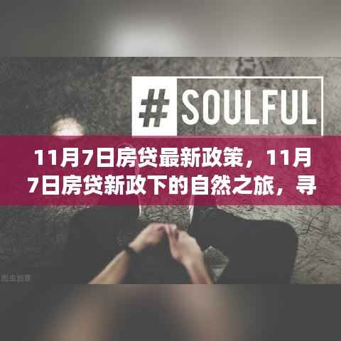 11月7日房贷新政下的心灵与风景之旅,探寻内心宁静与诗意风景