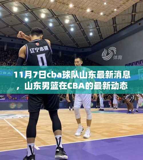 山东男篮CBA最新动态,回顾与展望(11月7日)