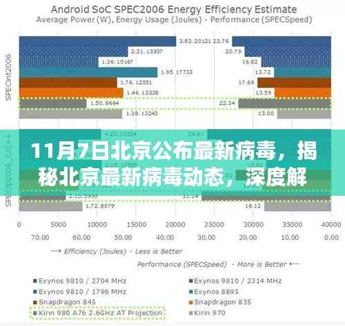 北京最新病毒动态深度解析，揭秘、应对策略与最新更新（11月7日）