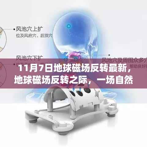 地球磁场反转之际的治愈之旅,探寻自然美景的奥秘(最新报道)