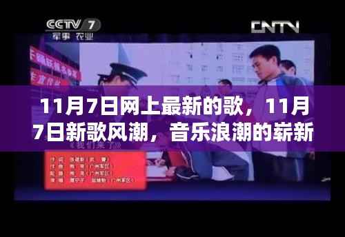 项目介绍 第675页