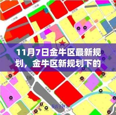 金牛区新规划下的温馨日常,友情邂逅记