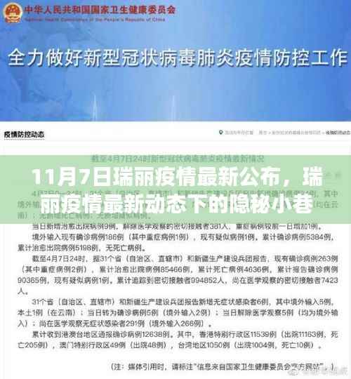 瑞丽疫情最新动态下的美食秘境探索,隐秘小巷美食之旅(疫情最新公布)