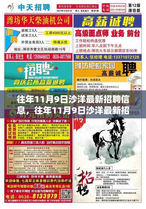 『往年11月9日沙洋最新招聘信息大全,获取与应聘攻略,适合初学者与进阶用户』