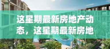 本周房地产最新动态,市场走势、热点分析与案例深度探究