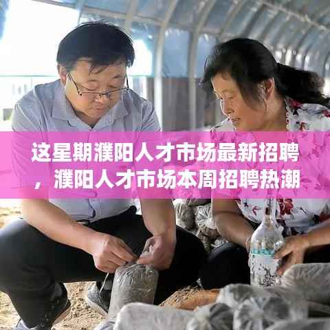 濮阳人才市场本周招聘热潮涌动,最新机遇与影响探寻