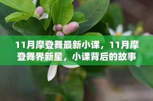 揭秘11月摩登舞小课背后的故事与影响,新星崛起之舞