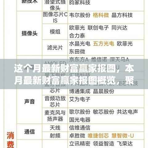 本月财富赢家报图概览,聚焦要点、趋势与洞察深度分析