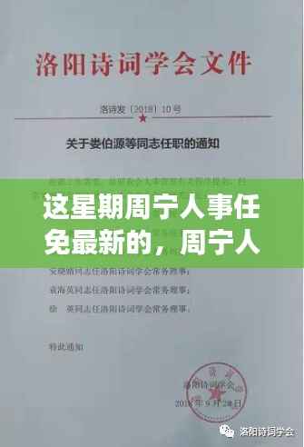 周宁人事任免最新动向,变化中的学习之旅,自信与成就感的源泉