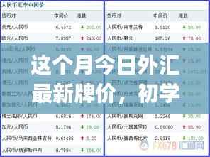 本月外汇最新牌价概览,初学者与进阶用户的查询步骤指南