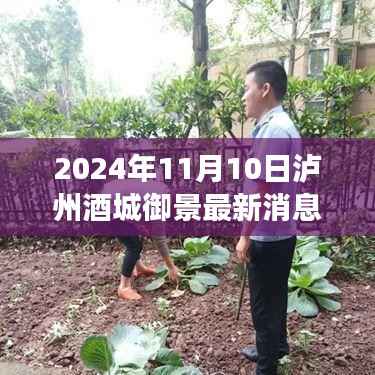 泸州酒城御景日常故事会,最新消息揭秘,温馨场景展望2024年11月10日