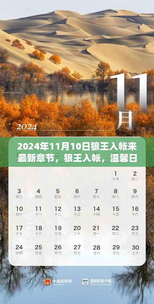 狼王入帐,温馨日常的奇遇与友情力量(最新章节 2024年11月10日更新)