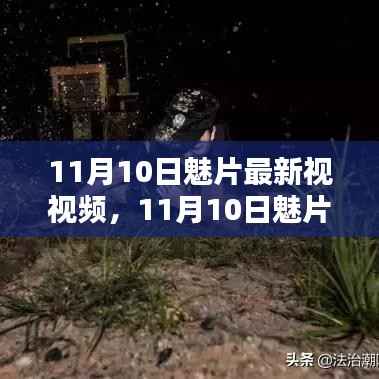11月10日魅片最新视频大放送,热门影视资讯全掌握
