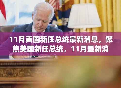 美国新任总统最新动态，聚焦11月最新消息解读