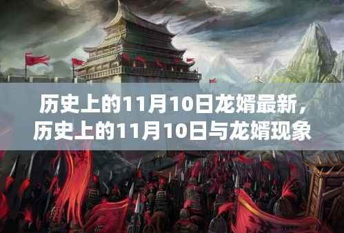 历史上的11月10日与龙婿现象,深度解读与观点阐述