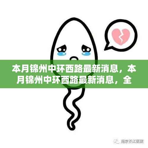 本月锦州中环西路最新消息,全面评测与深度介绍