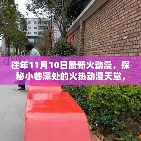 独家揭秘,揭秘小巷深处的火爆动漫天堂——最新火爆动漫独家小店盘点(往年11月10日)