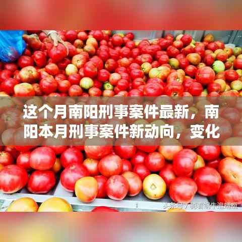 南阳本月刑事案件最新动态,学习之旅中的变化与挑战,自信与成就感的源泉