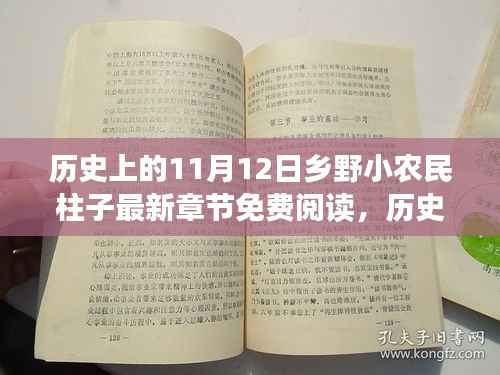 历史上的11月12日,乡野小农民柱子最新章节深度测评与免费阅读介绍