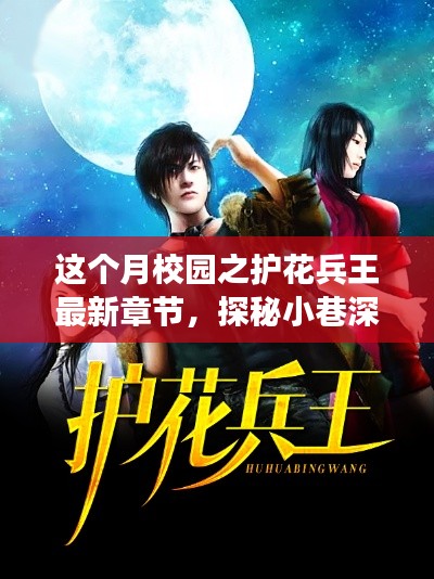 校园之护花兵王,神秘角落与最新章节揭秘