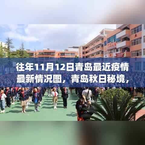 青岛疫情最新动态与秋日秘境之旅,自然之旅与内心的宁静港湾