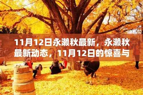 永濑秋最新动态，11月12日的惊喜与期待