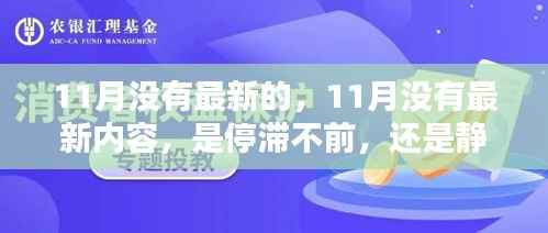 11月静默无声，内容停滞还是静待花开？