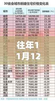 海南新规深度解析,特性、体验、对比与用户群体分析