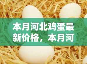 本月河北鸡蛋最新价格及分析概述