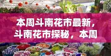 本周斗南花市探秘,缤纷日常与友情之花盛开