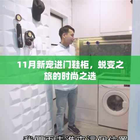 11月新宠进门鞋柜,蜕变之旅的时尚之选