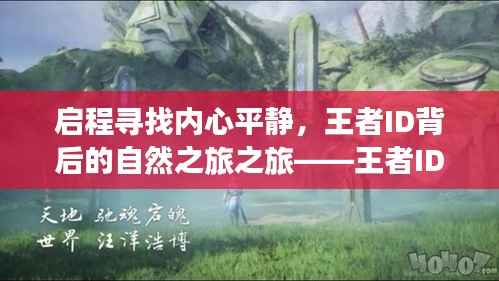 启程寻找内心平静,王者ID背后的自然之旅之旅——王者ID最新动态(11月13日)