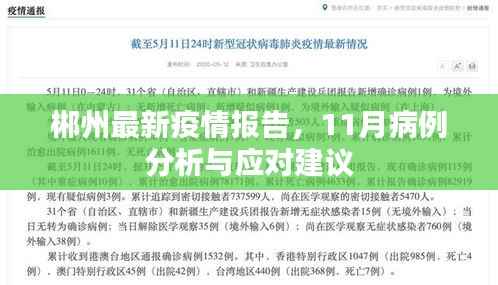 郴州最新疫情报告,11月病例分析与应对建议