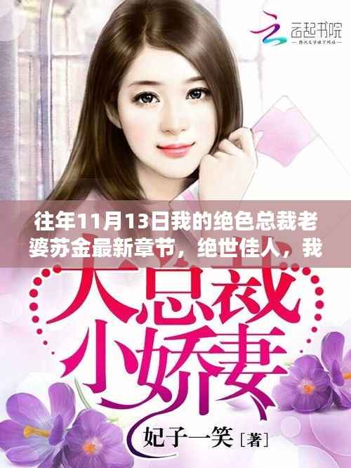 绝世佳人总裁妻苏金,十一月十三日的秘密篇章