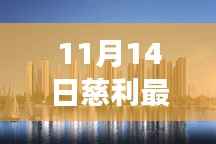 11月14日慈利最新房价深度解读,洞悉趋势,揭秘未来!