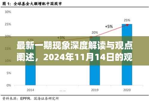 最新一期现象深度解读与观点阐述,2024年11月14日的观察与反思