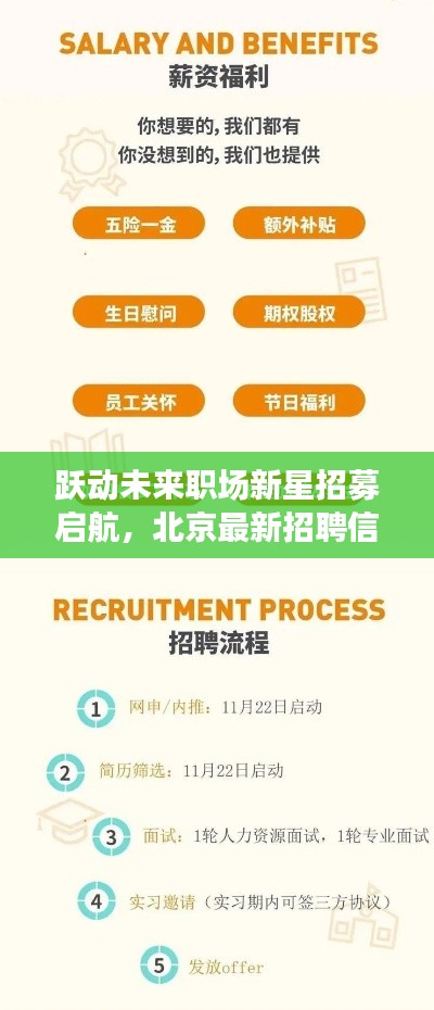 跃动未来职场新星招募启航,北京最新招聘信息(2024年)