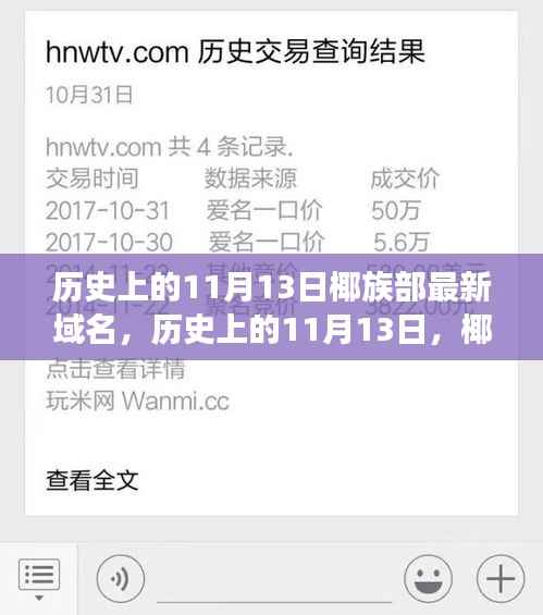 历史上的11月13日,椰族部新域名诞生背后的故事揭秘