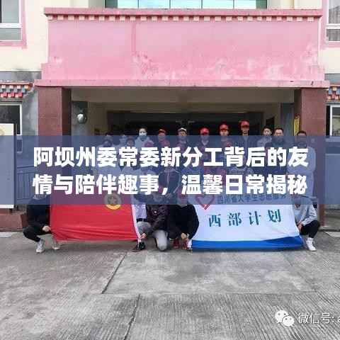 阿坝州委常委新分工背后的友情与陪伴趣事,温馨日常揭秘启幕时刻