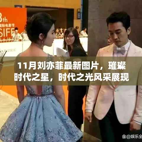 11月刘亦菲最新图片,璀璨时代之星,时代之光风采展现