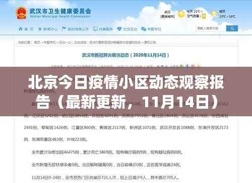 北京今日疫情小区动态观察报告(最新更新,11月14日)