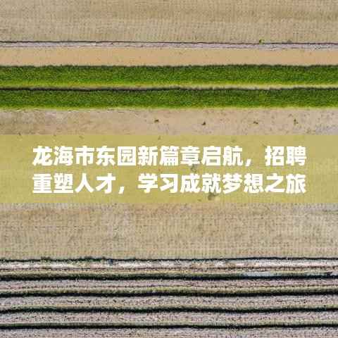 龙海市东园新篇章启航,招聘重塑人才,学习成就梦想之旅