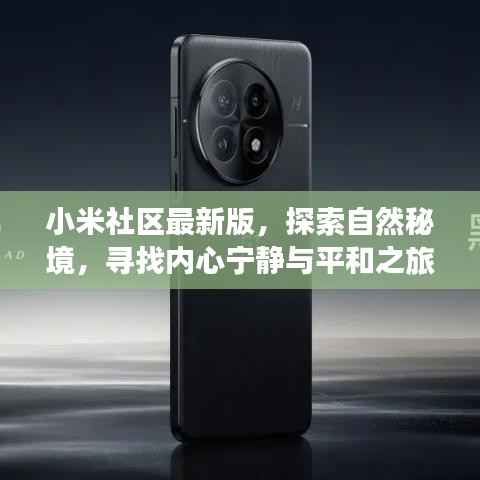 小米社区最新版,探索自然秘境,寻找内心宁静与平和之旅