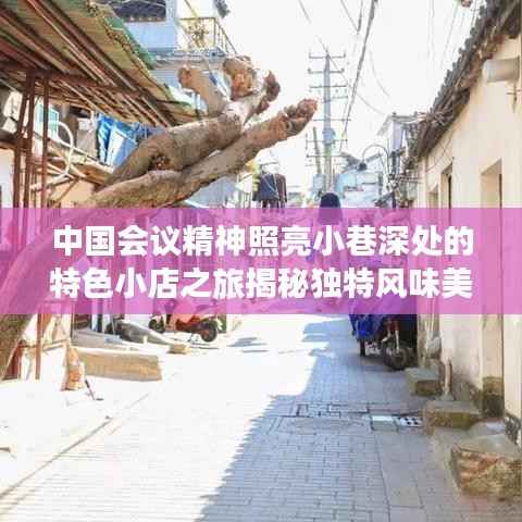 中国会议精神照亮小巷深处的特色小店之旅揭秘独特风味美食之旅新篇章。