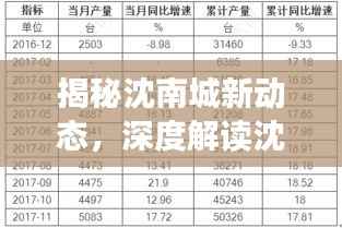 揭秘沈南城新动态,深度解读沈南城最新进展与未来展望(2024年11月16日)