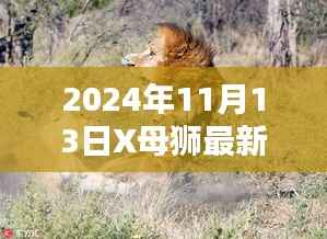 母狮X的奇妙日常,友谊的温馨瞬间与欢乐时光(2024年11月13日最新)